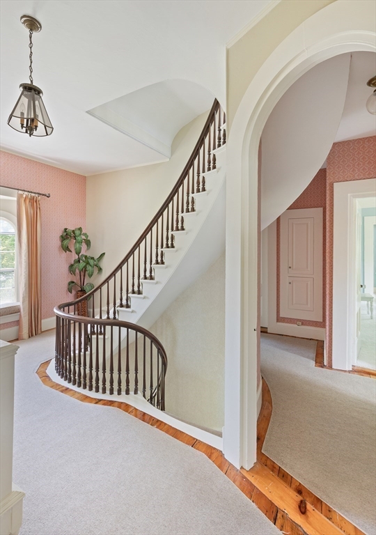 65 Hayden Rowe Street Property Photo 21