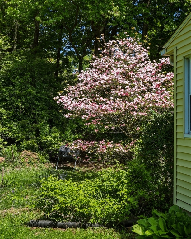 16 Saybrook Cir Property Photo 30