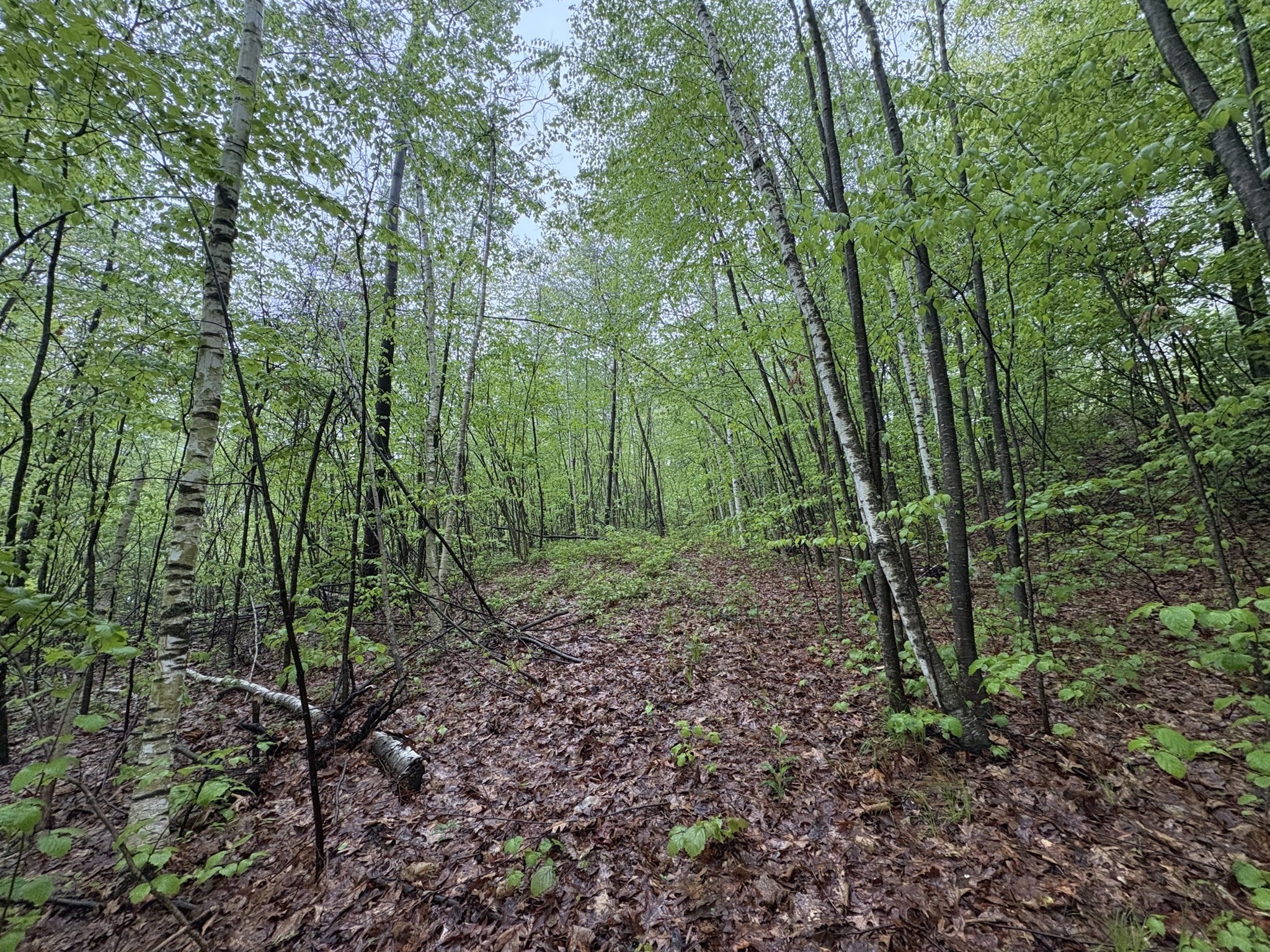 Tbd Lower Road Property Photo 1