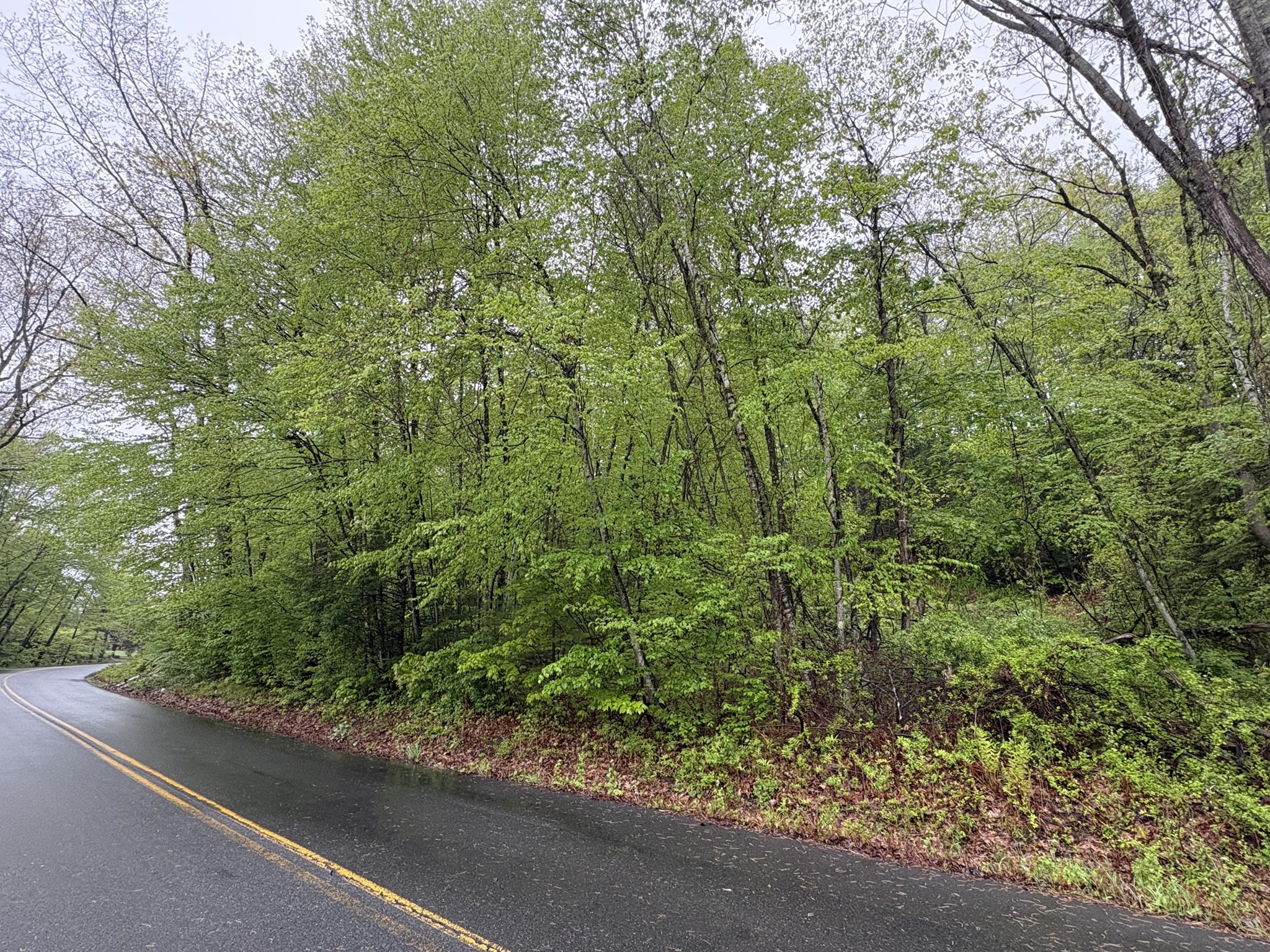 Tbd Lower Road Property Photo 4