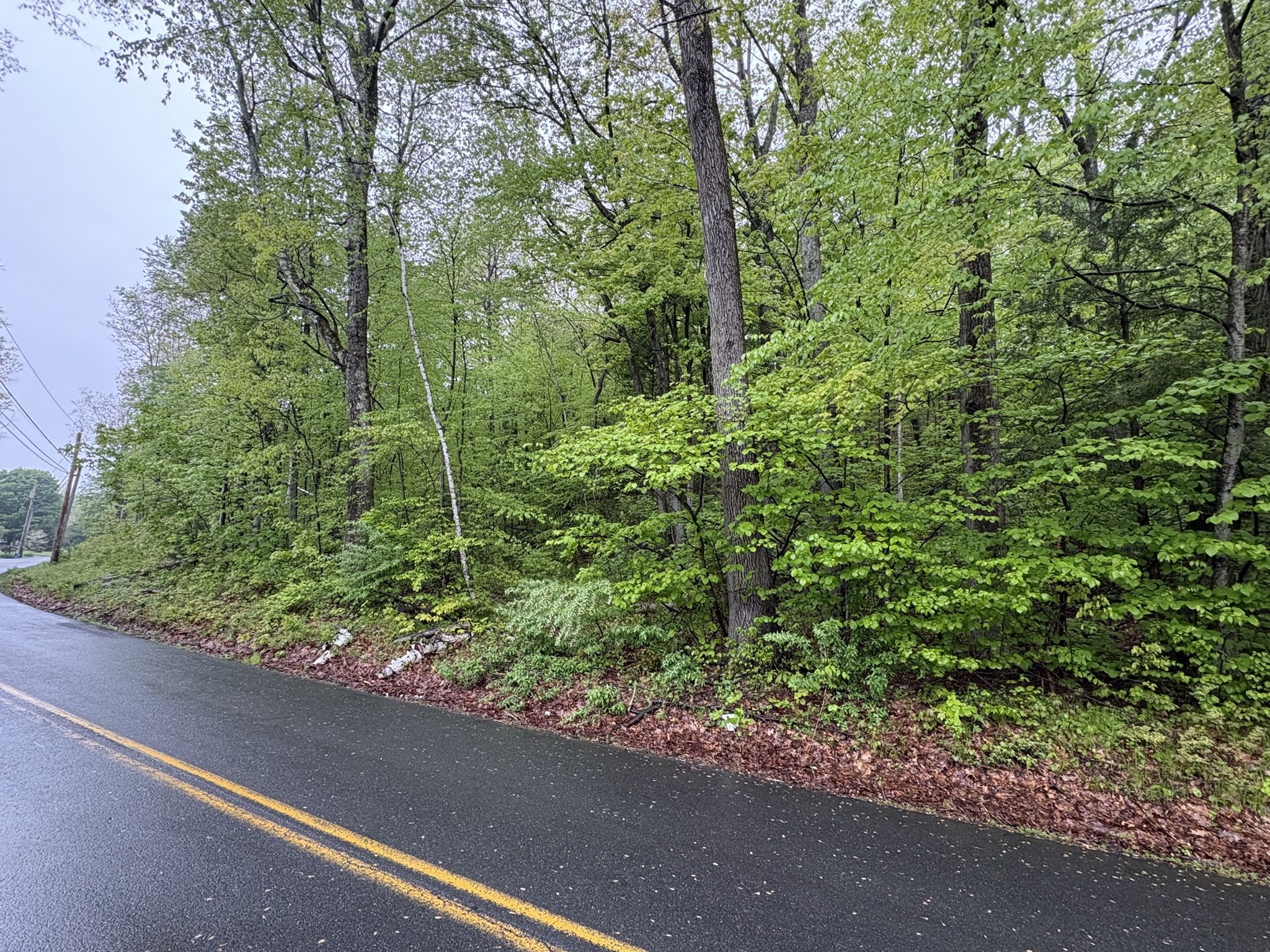 Tbd Lower Road Property Photo 5