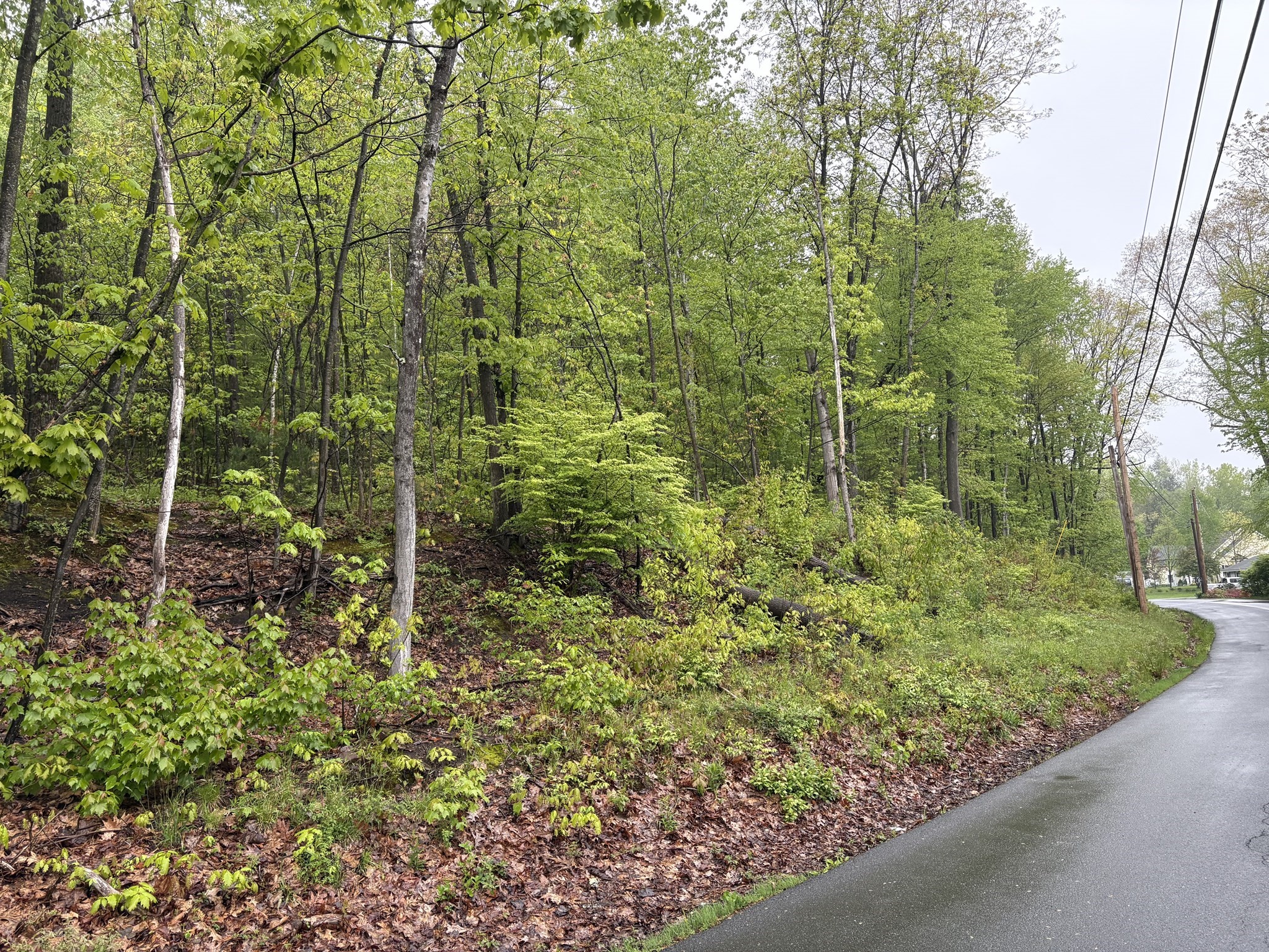 Tbd Lower Road Property Photo 6