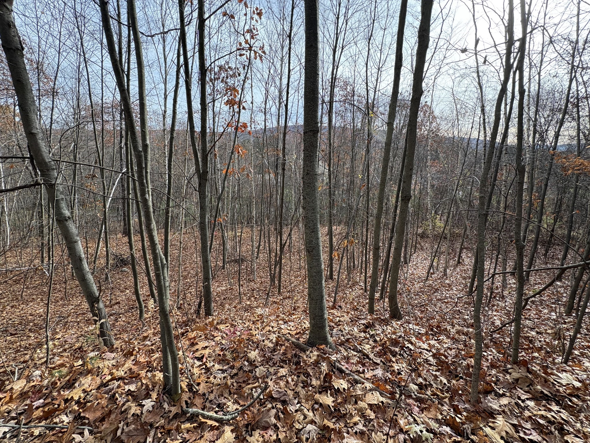 Tbd Lower Road Property Photo 7