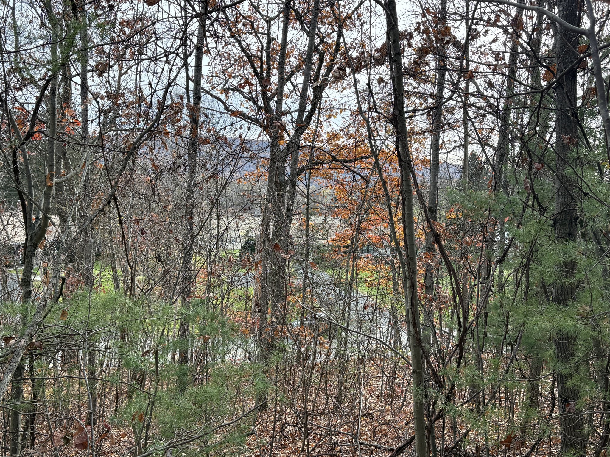 Tbd Lower Road Property Photo 8