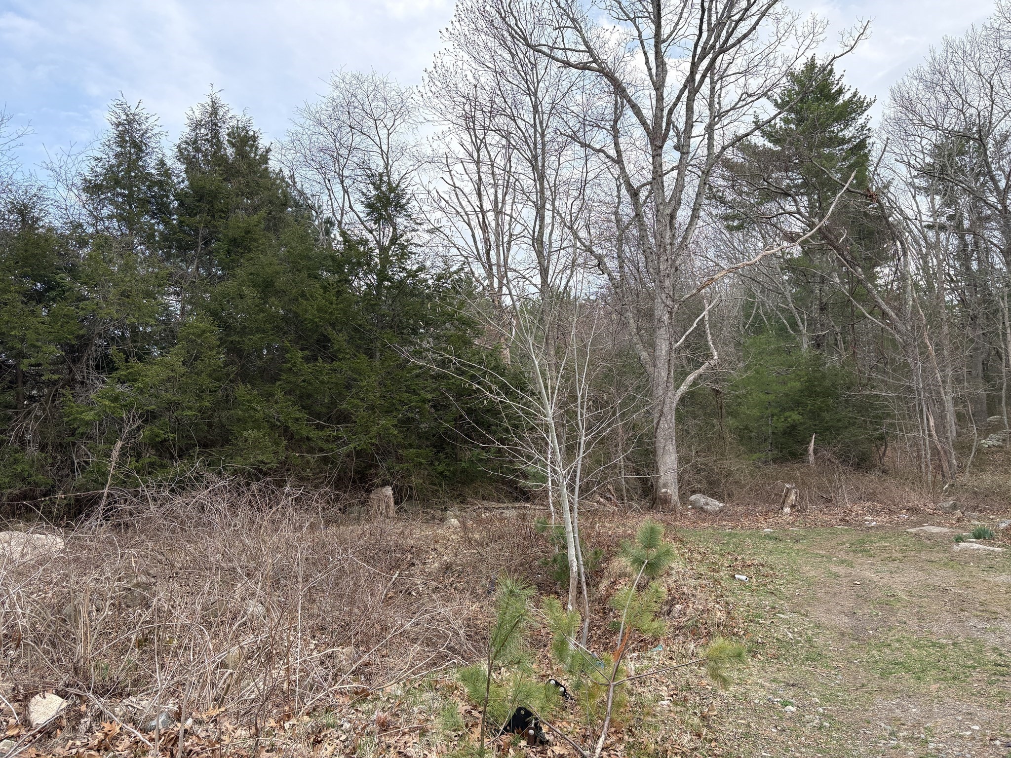 79 Woodman St Property Photo 1