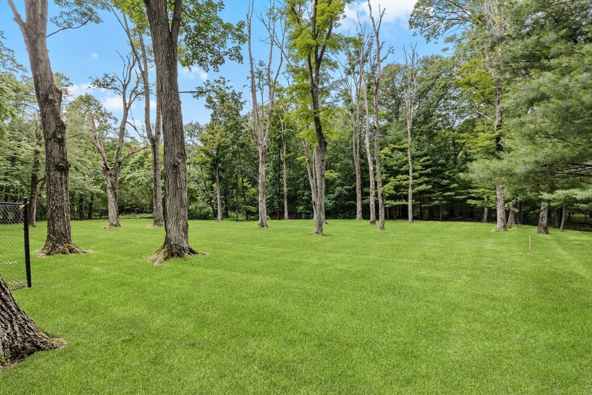 135 Milton Street Property Photo 35