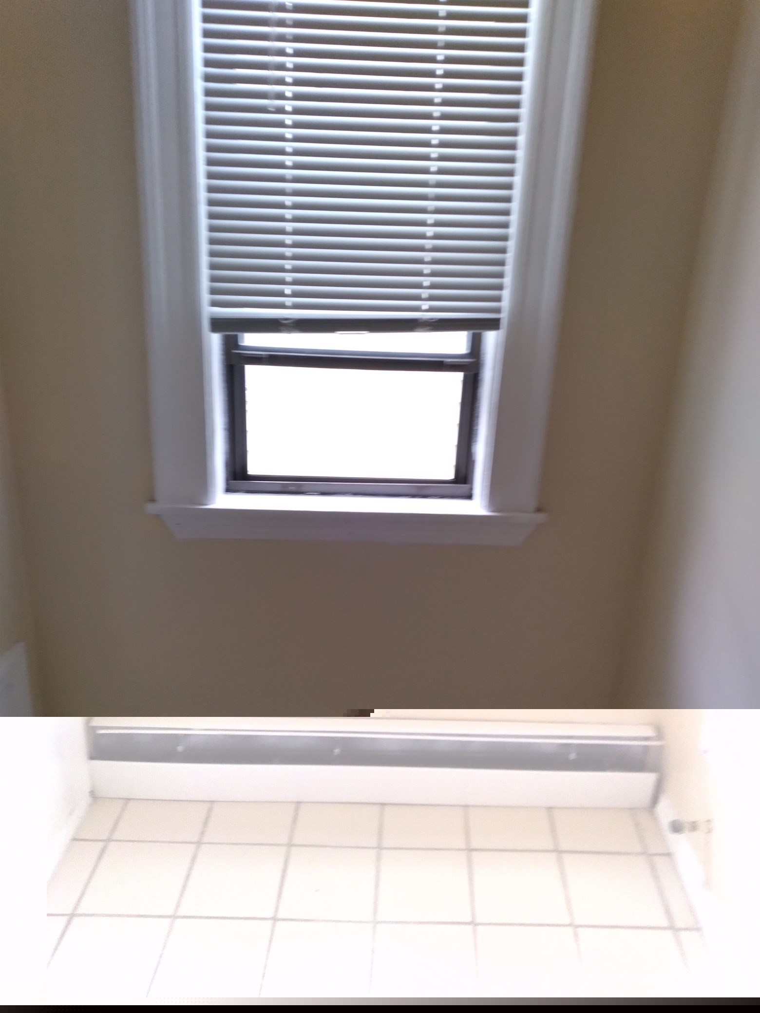 10 Norton St # 3 Property Photo 5