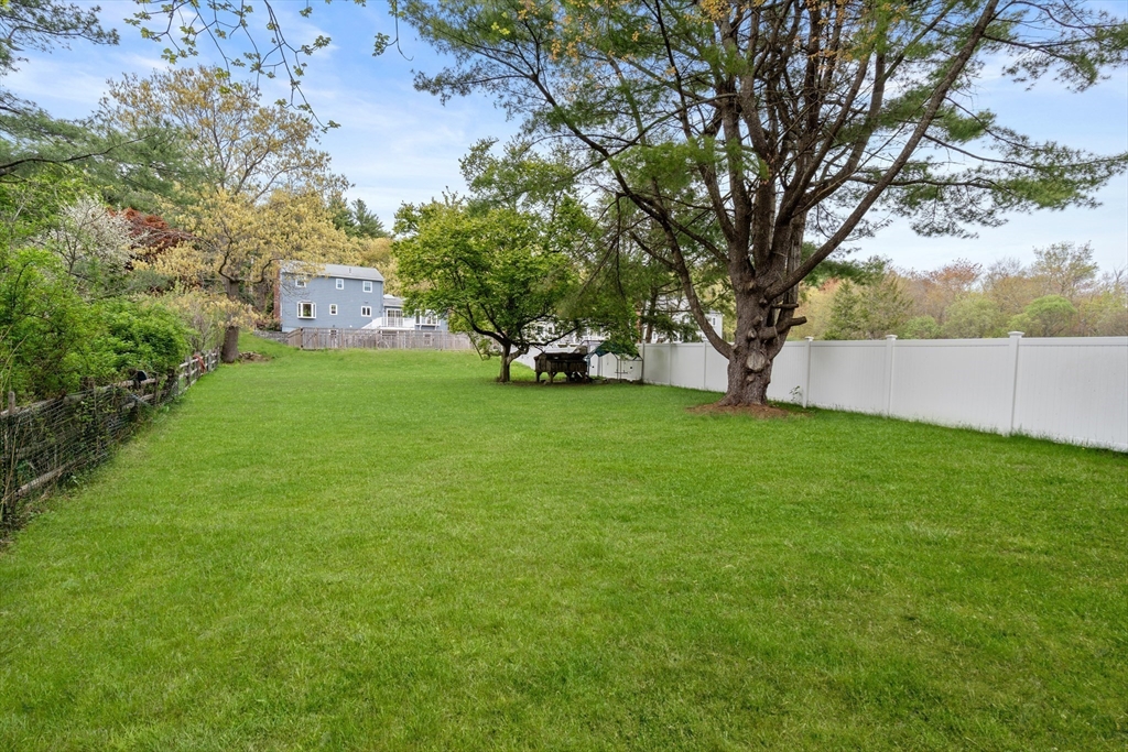 1066 Hillside St Property Photo 35