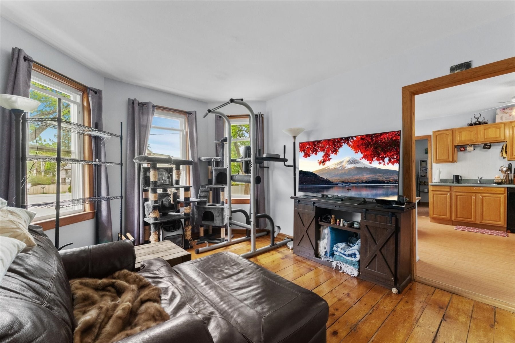 15 Steele St Property Photo 4