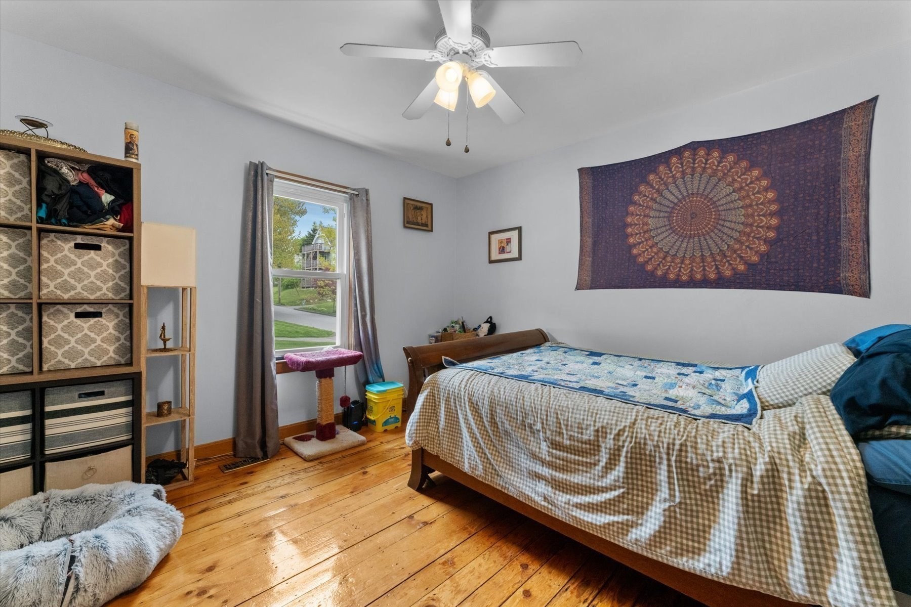15 Steele St Property Photo 8