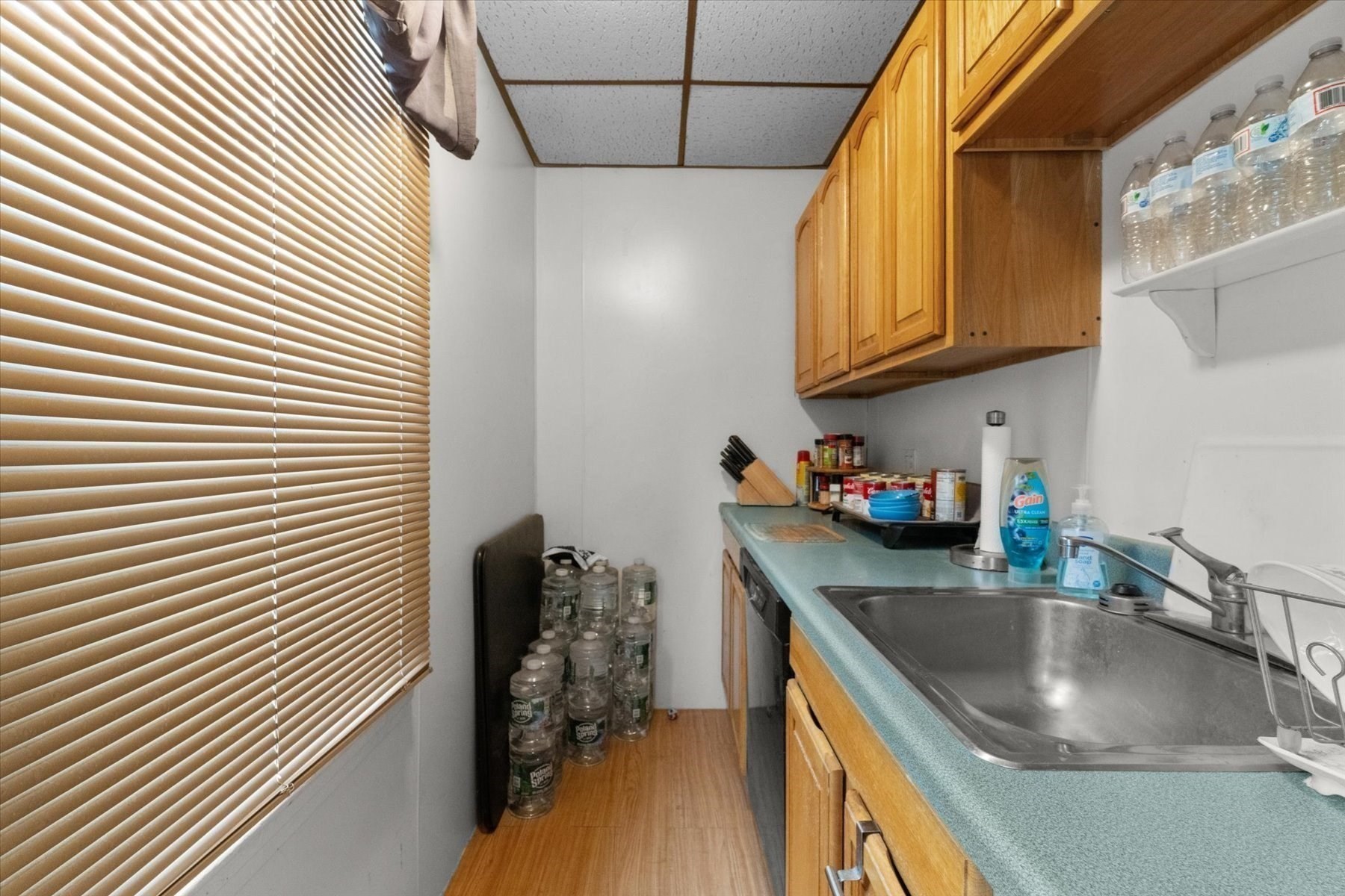 15 Steele St Property Photo 22