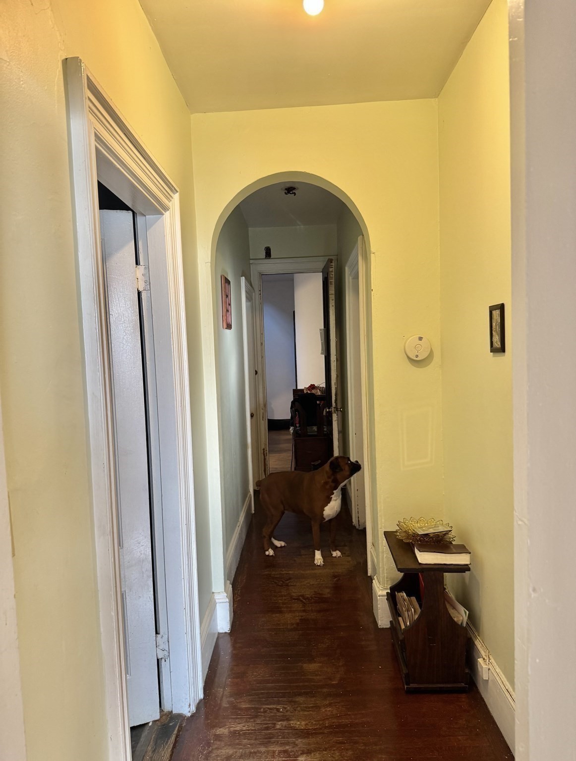 495 Warren St. Property Photo 19