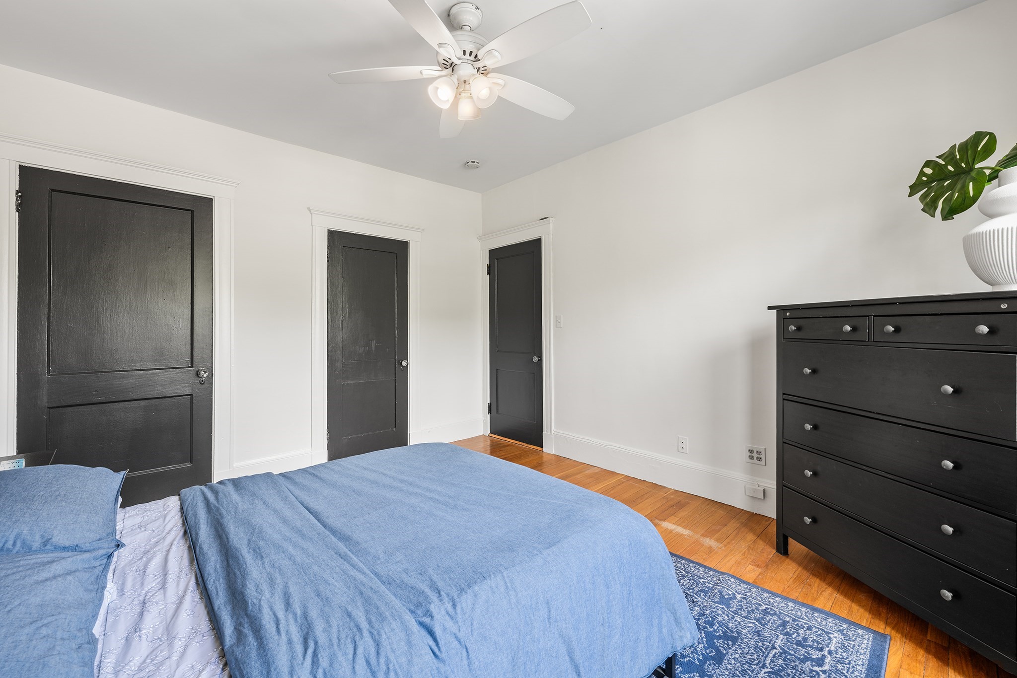 1738 Commonwealth Ave # 4 Property Photo 6