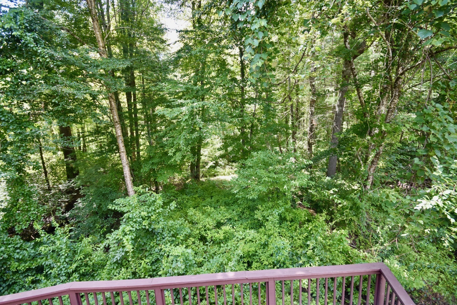 6 Michelle Lane Property Photo 28