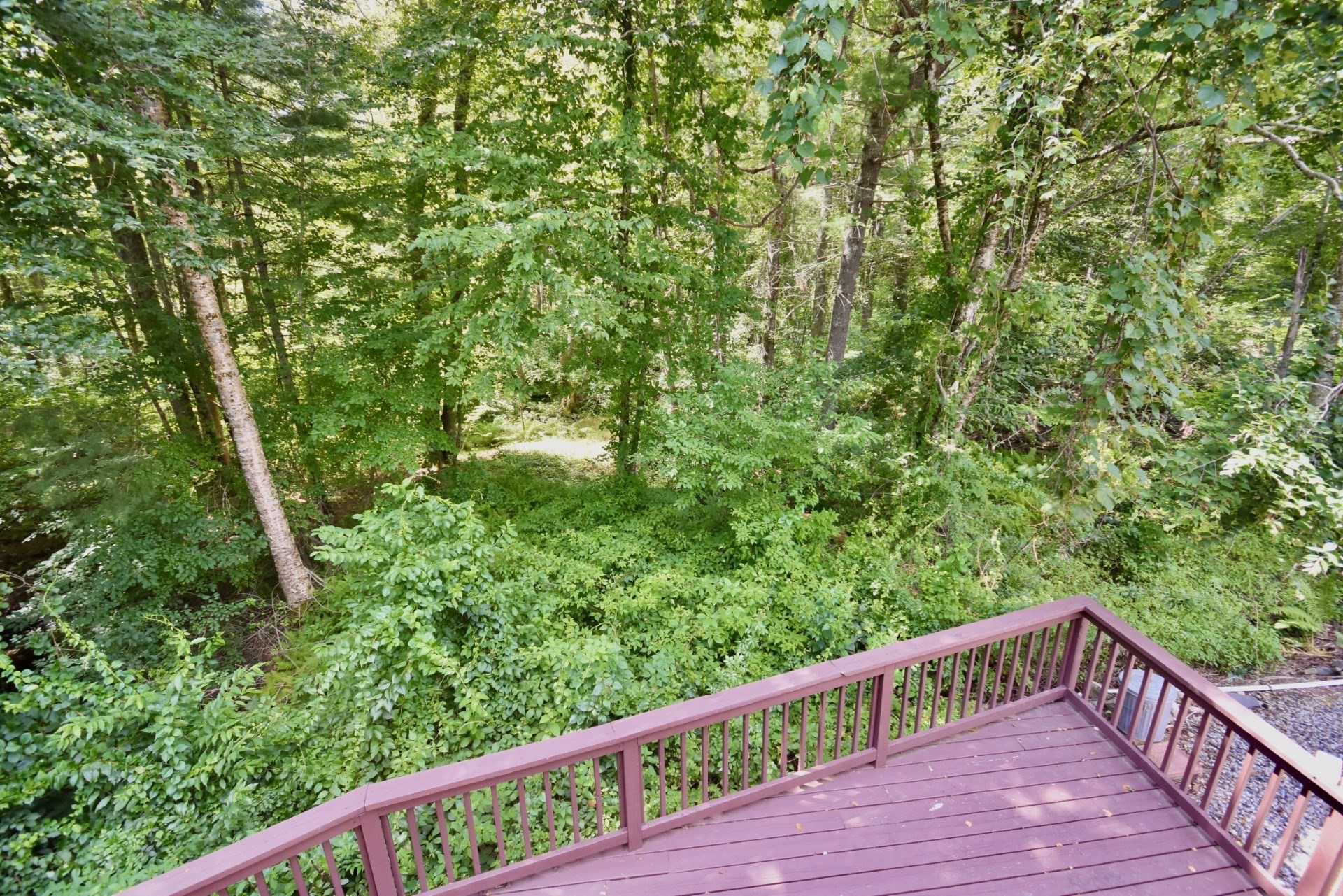 6 Michelle Lane Property Photo 29