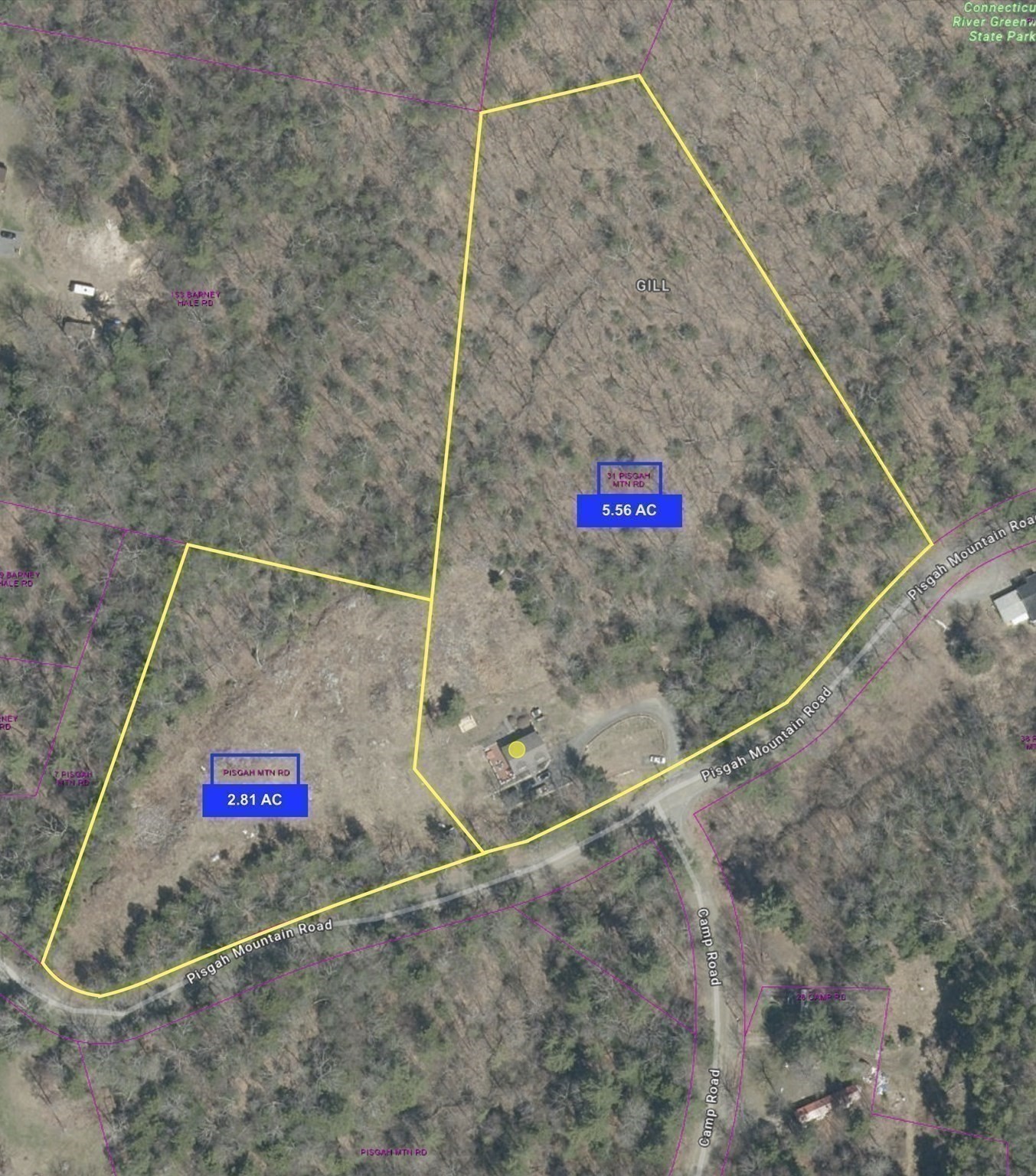 31 Pisgah Mountain Rd Property Photo 42