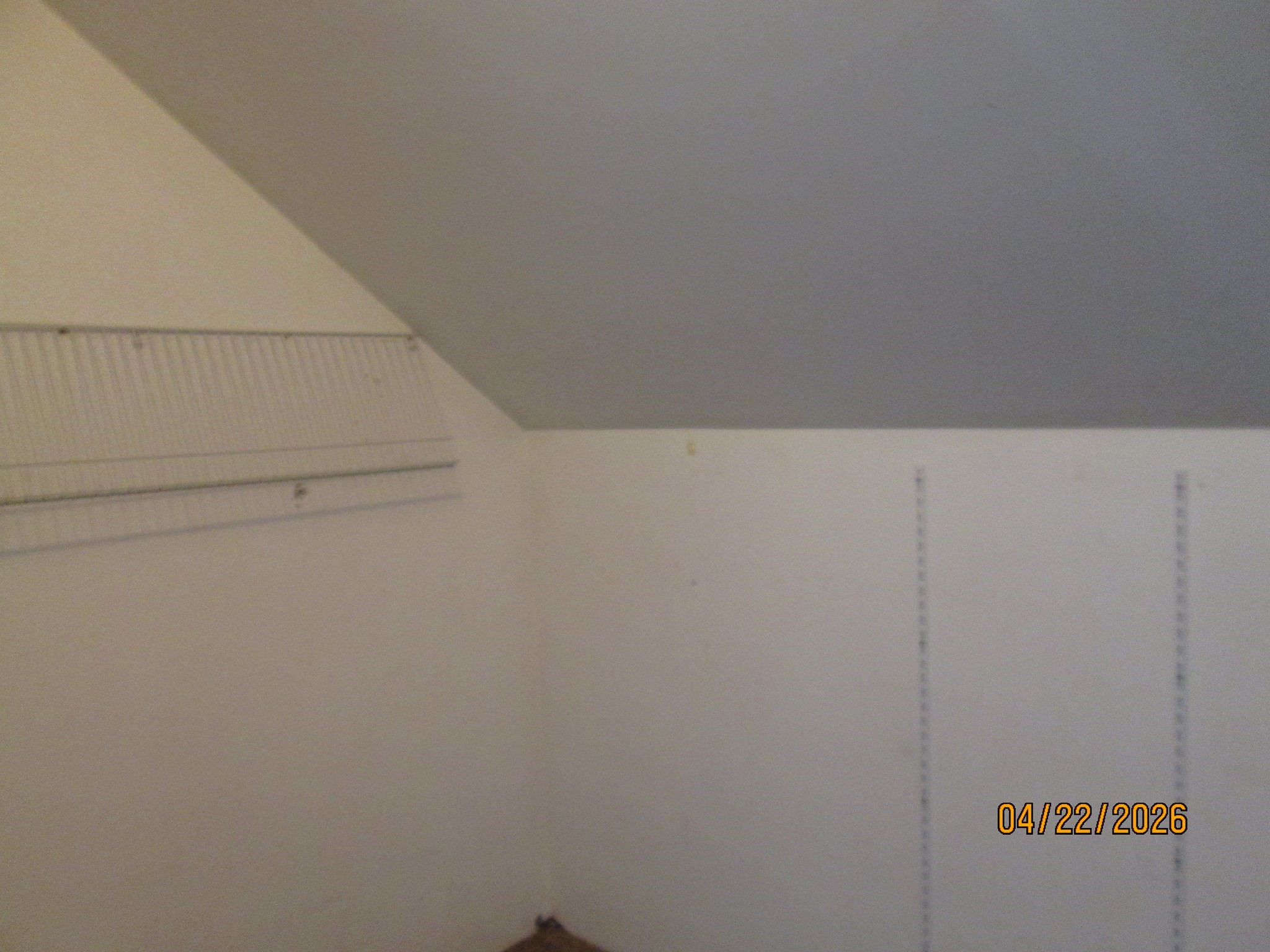 12 Parsons Street # 2 Property Photo 8