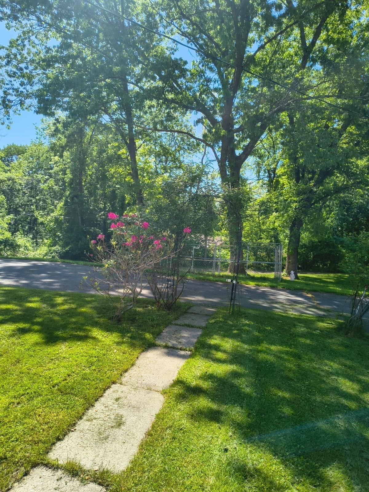 41 Linwood St Property Photo 3