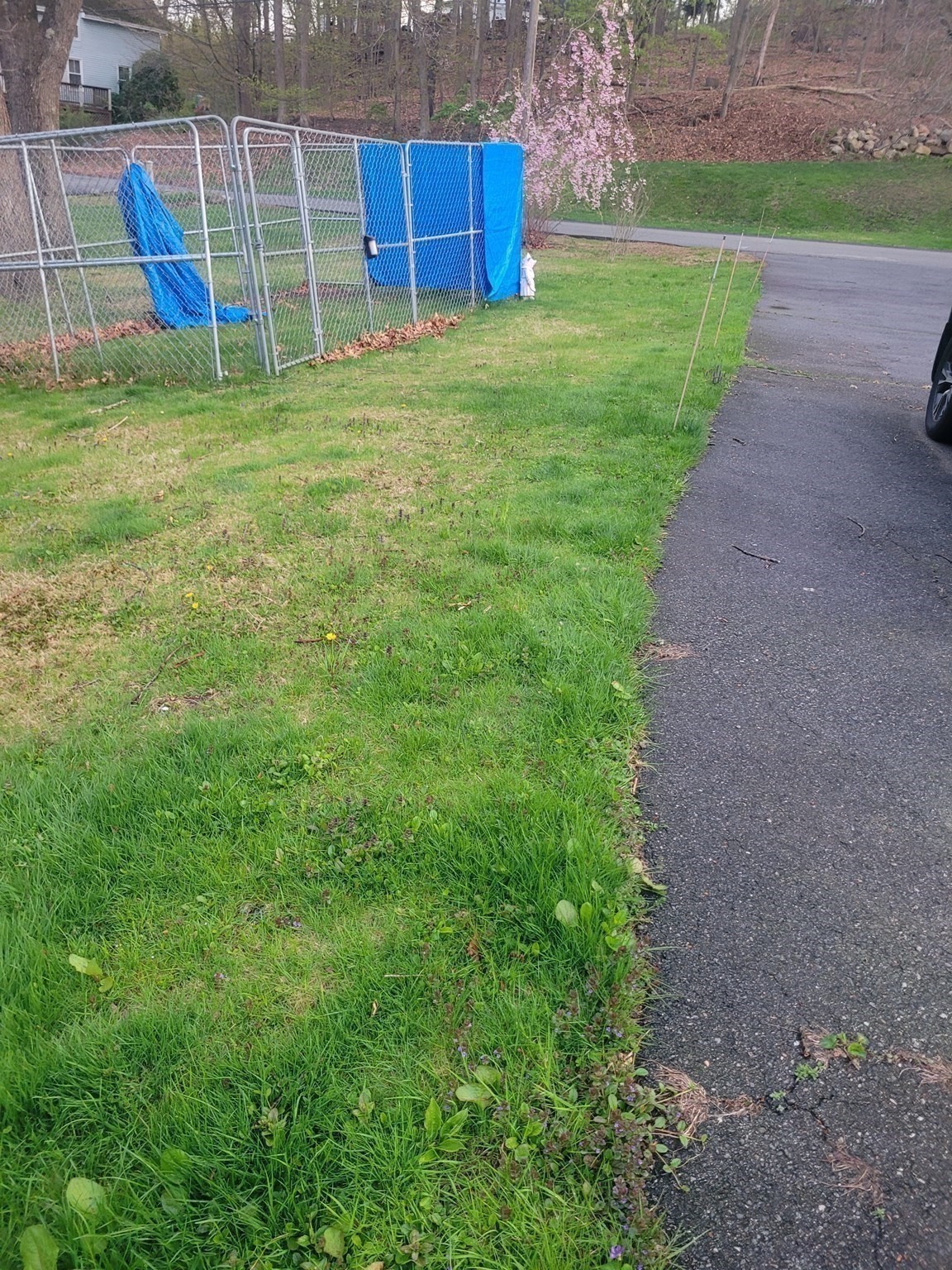 41 Linwood St Property Photo 8