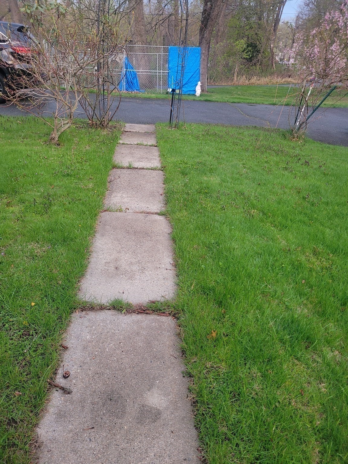 41 Linwood St Property Photo 9