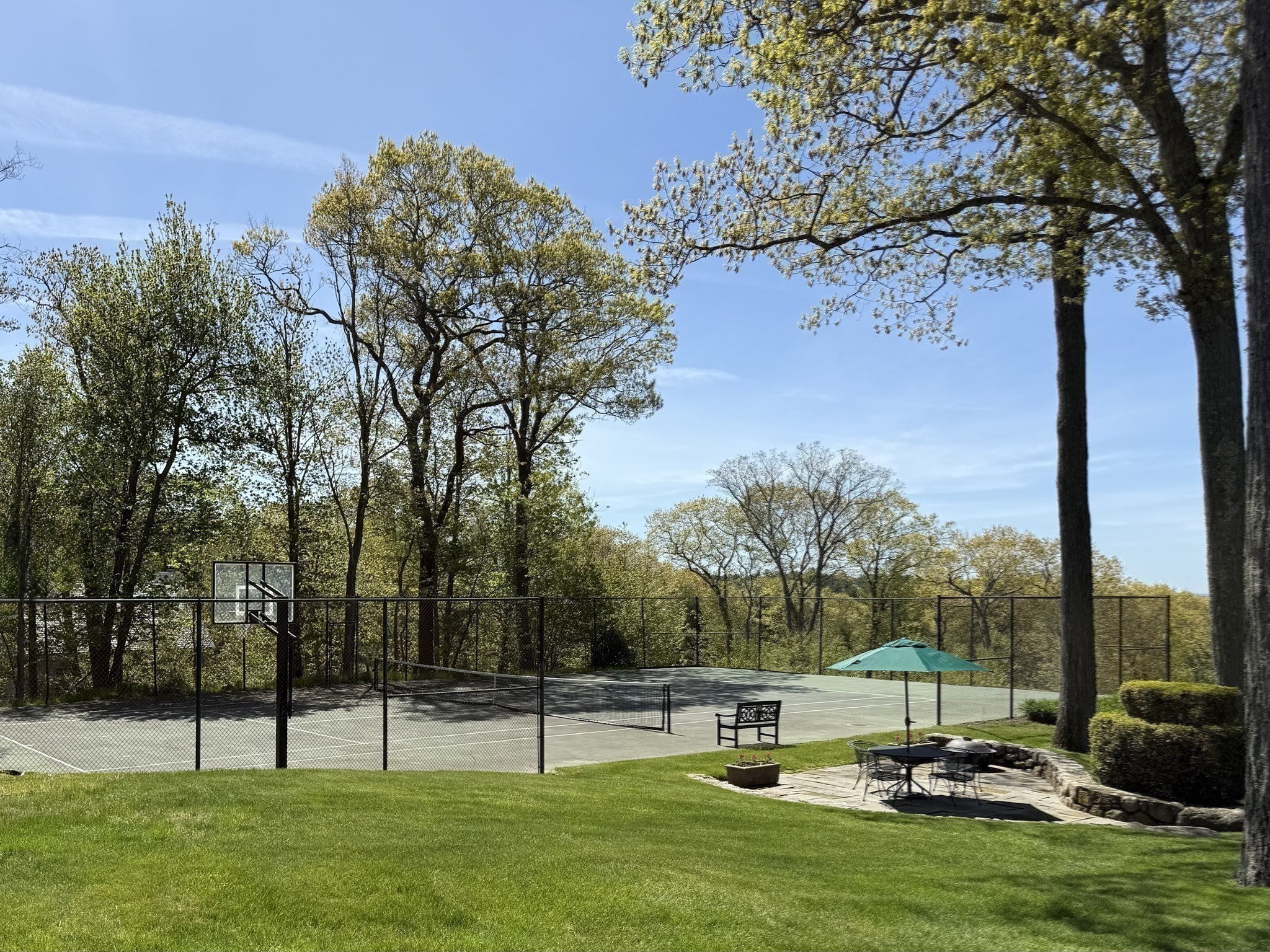 73 Forest Property Photo 5