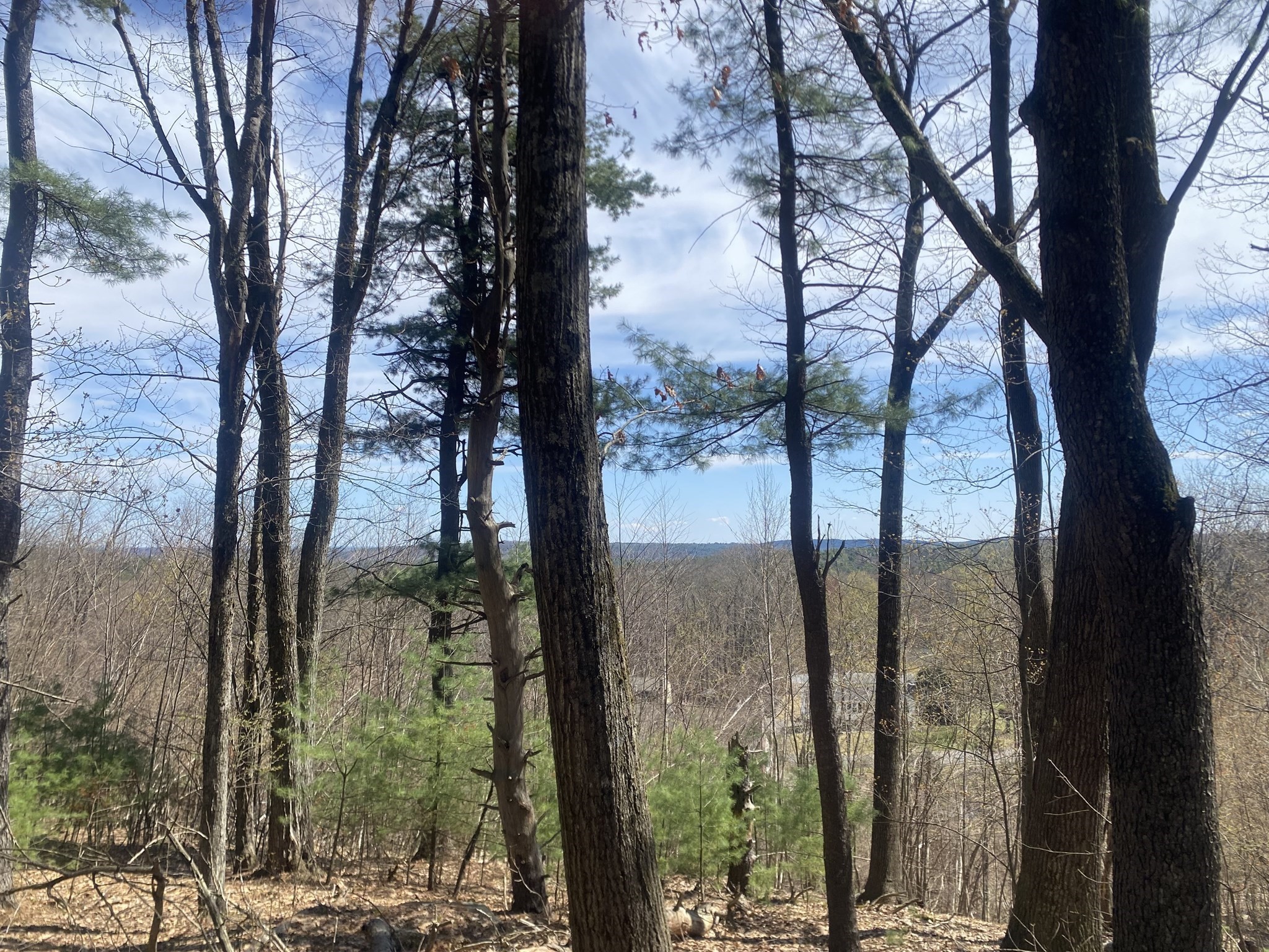 22 Newcomb Rd Lot 1