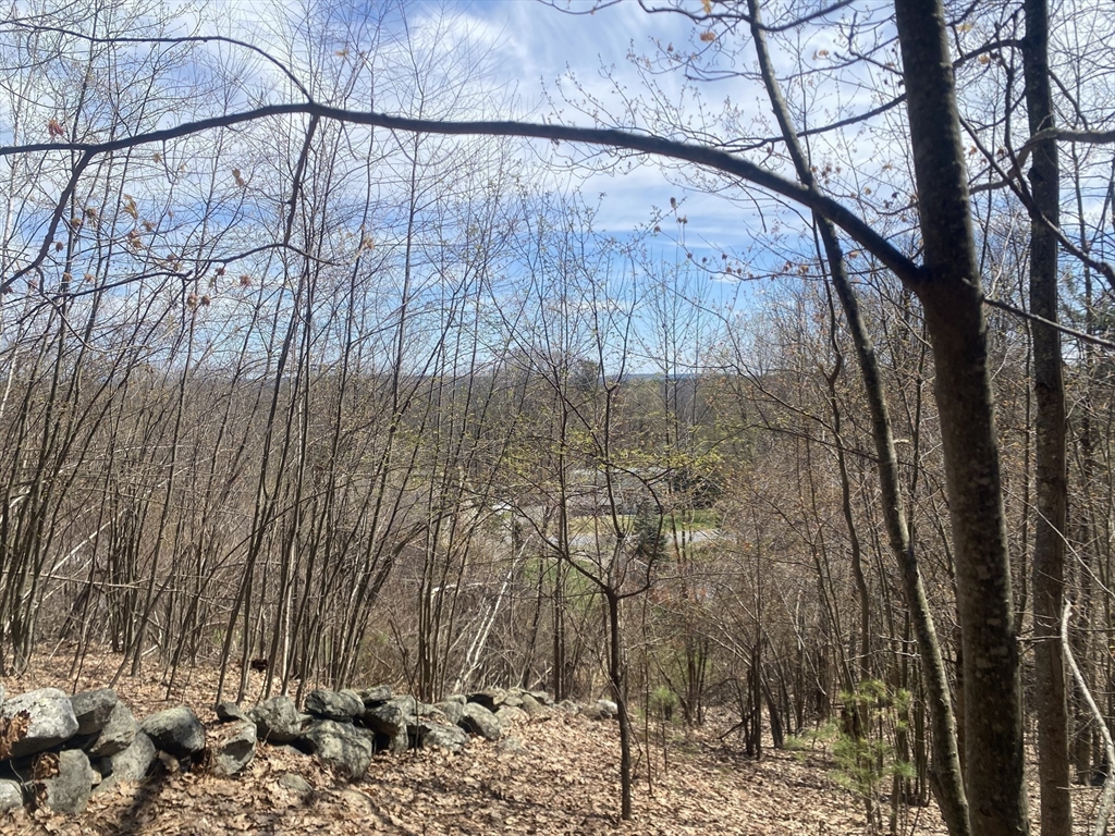 22 Newcomb Rd Lot 1 Property Photo 3