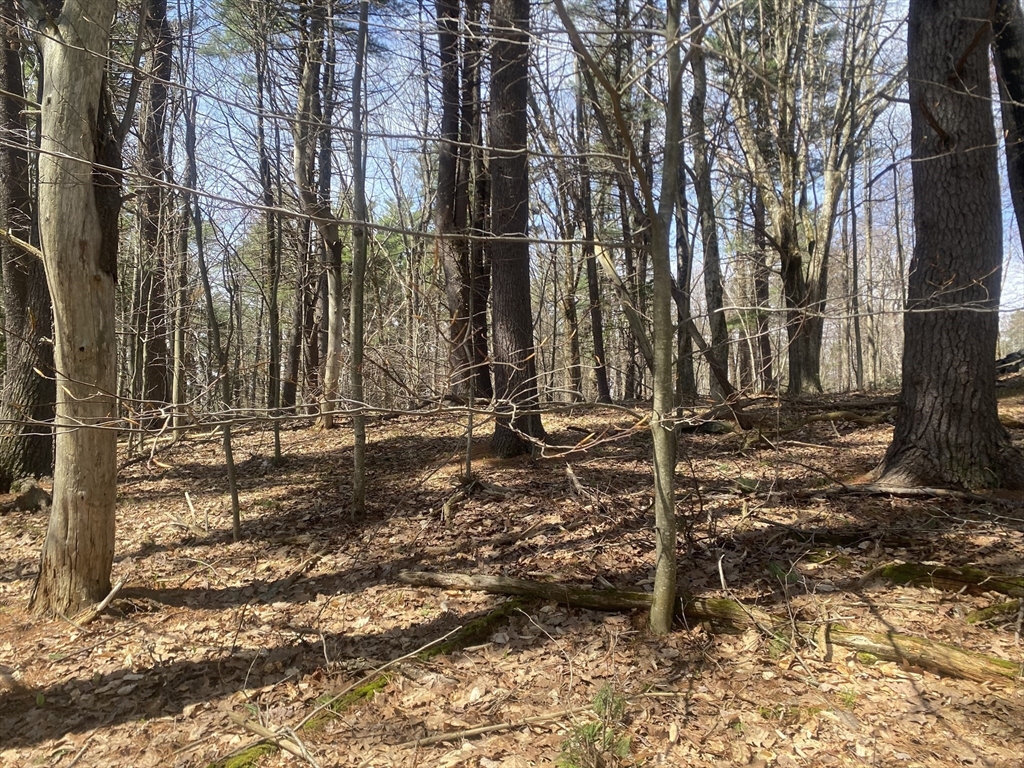 22 Newcomb Rd Lot 1 Property Photo 6
