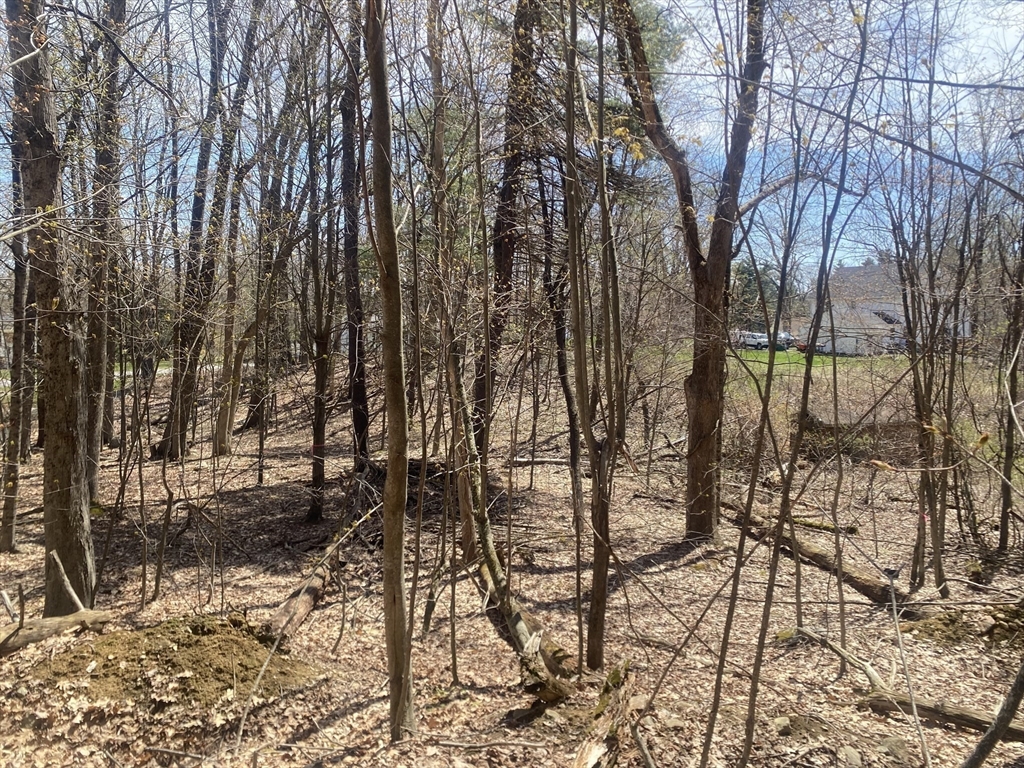 22 Newcomb Rd Lot 1 Property Photo 8