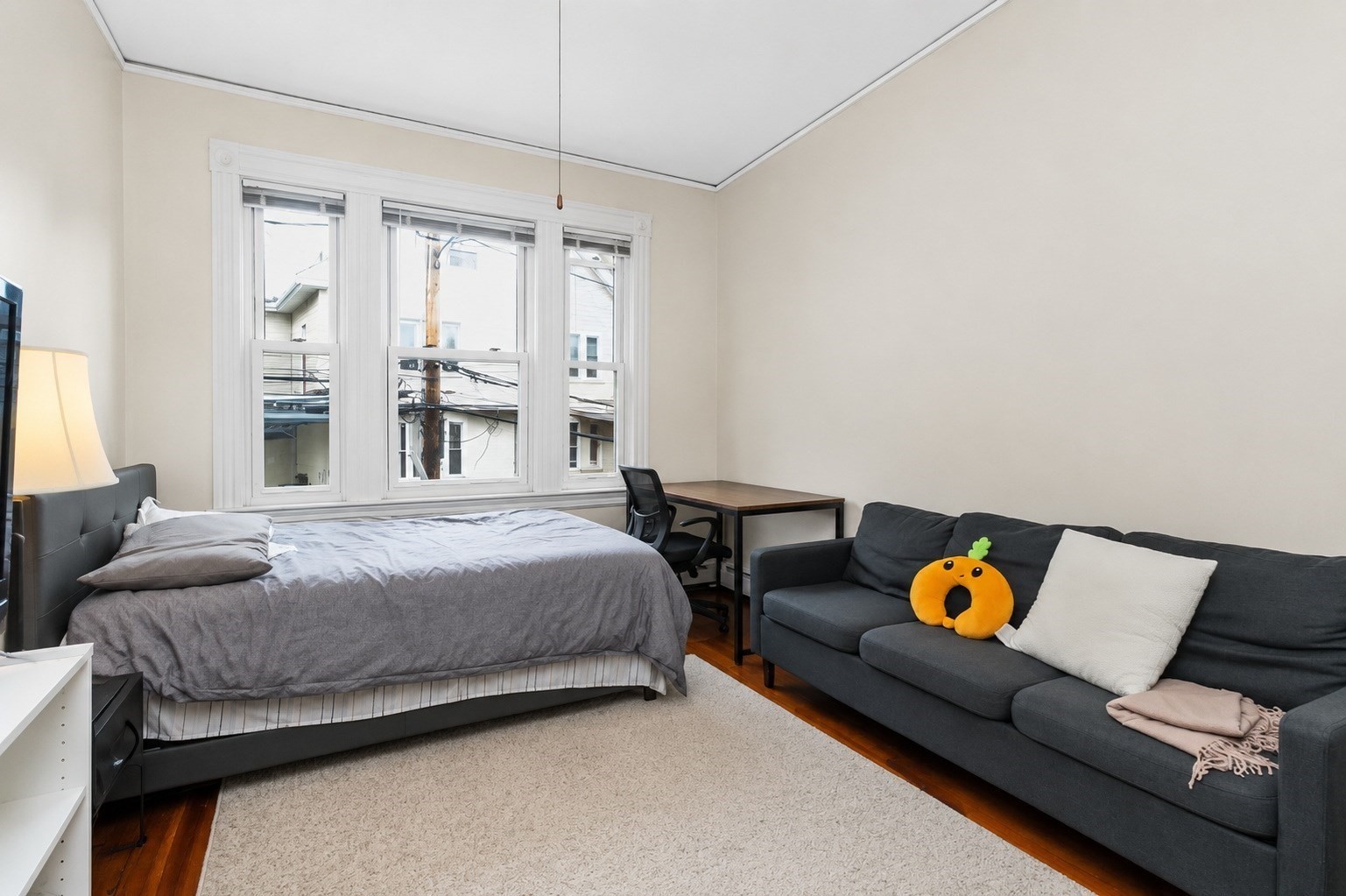 8 Colliston Rd Property Photo 5