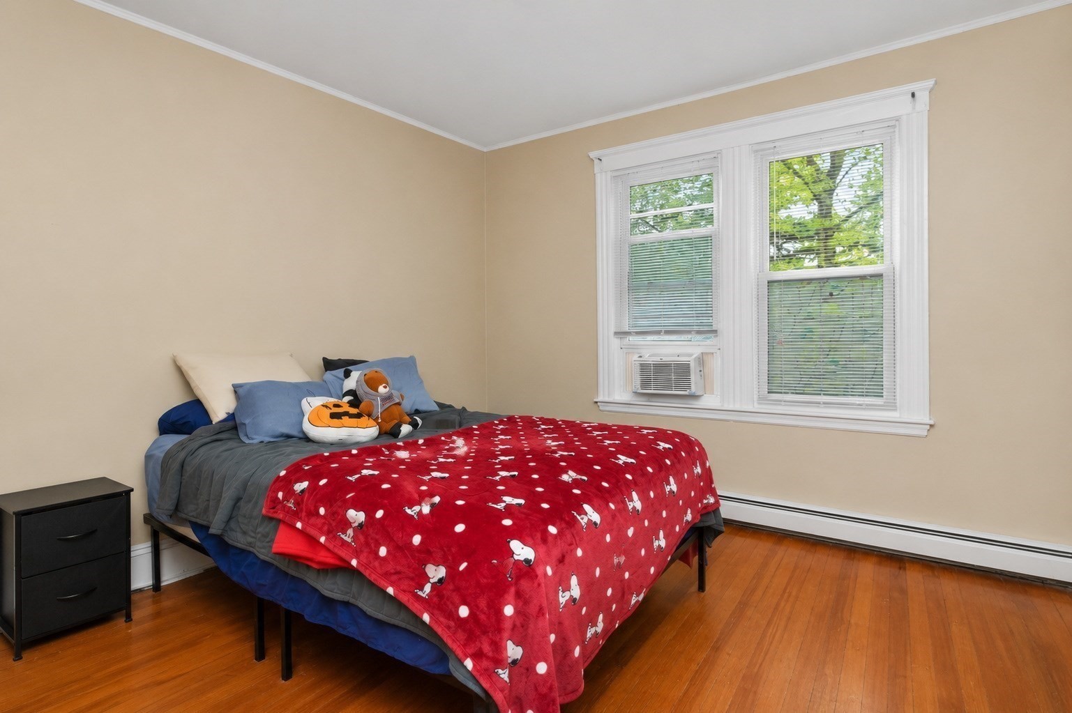 8 Colliston Rd Property Photo 17