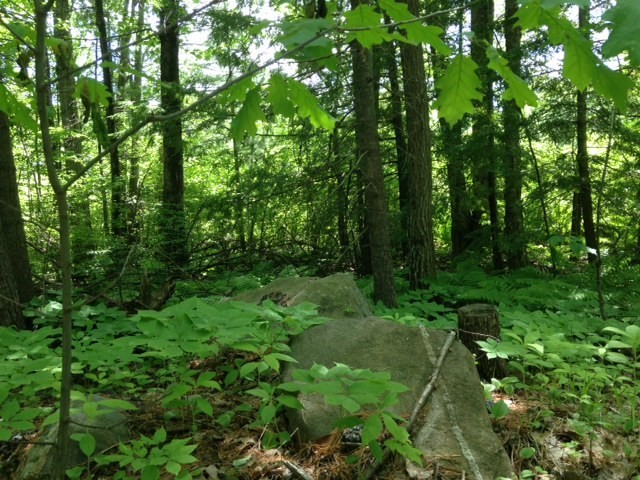 0 Elm St Property Photo 2