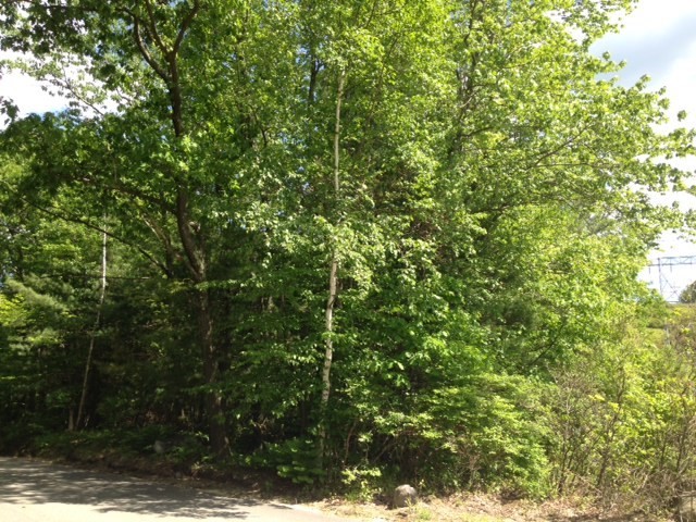 0 Elm St Property Photo 4