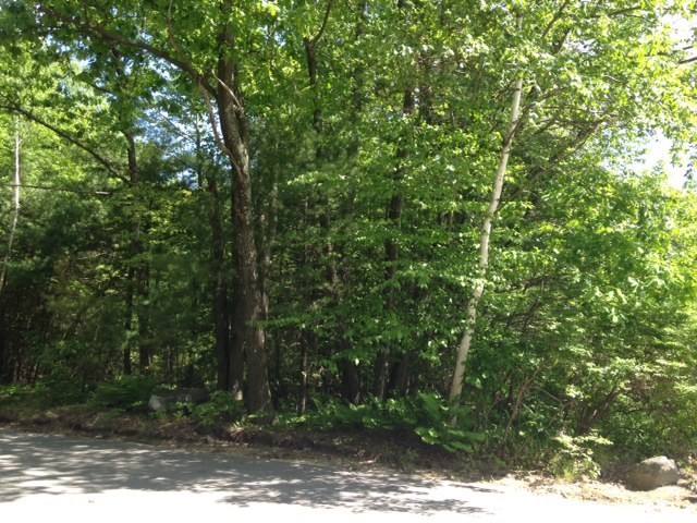0 Elm St Property Photo 5