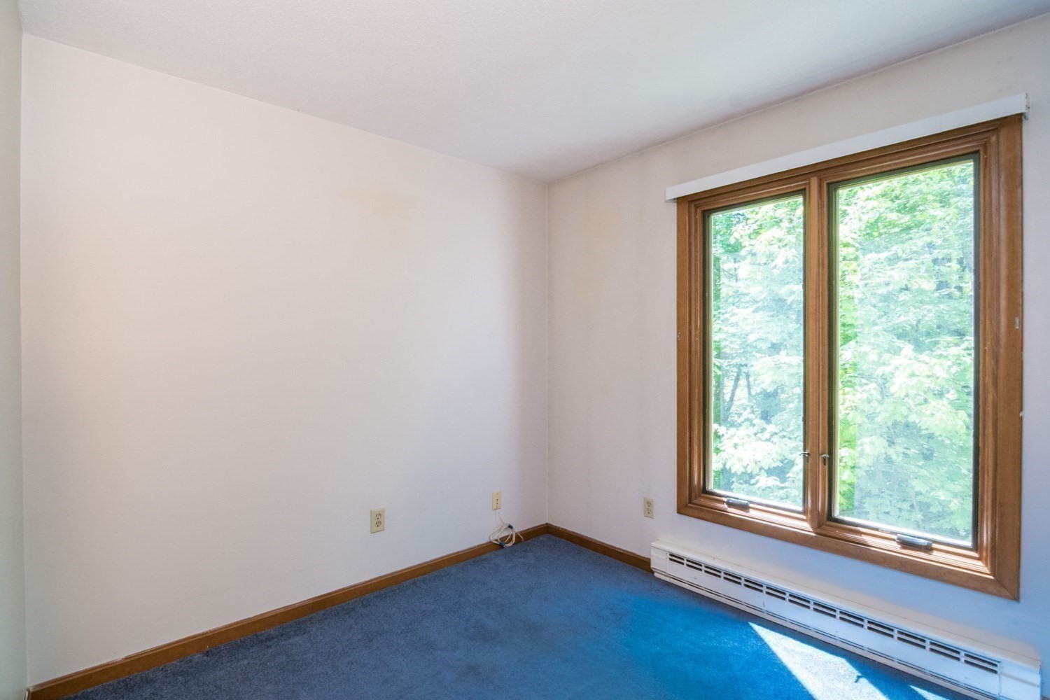 10 Walnut St # 10 Property Photo 18