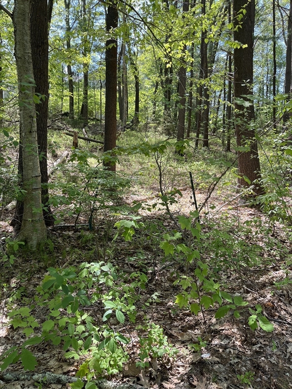 Lot A-2 Durkee Lane Property Photo 1