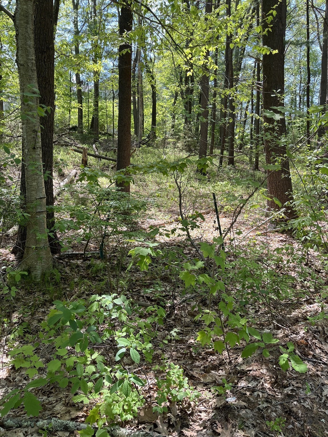 Lot A-2 Durkee Lane