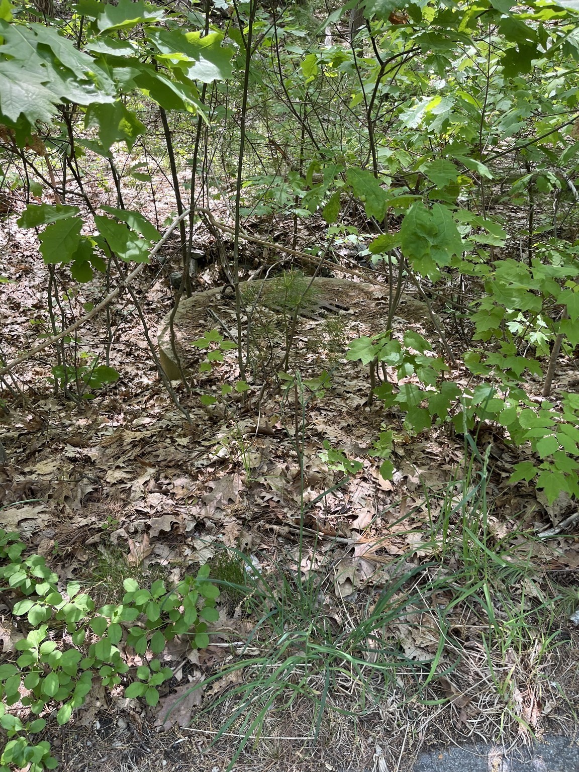 Lot A-2 Durkee Lane Property Photo 2