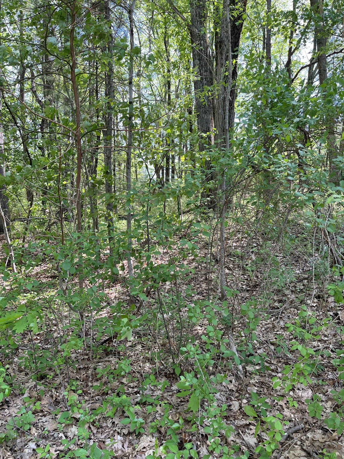 Lot A-2 Durkee Lane Property Photo 3