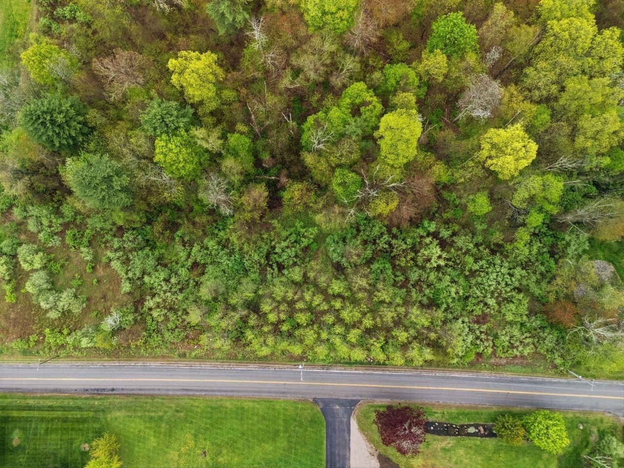 221 Lot 1 Dresser Hill Rd Property Photo 3