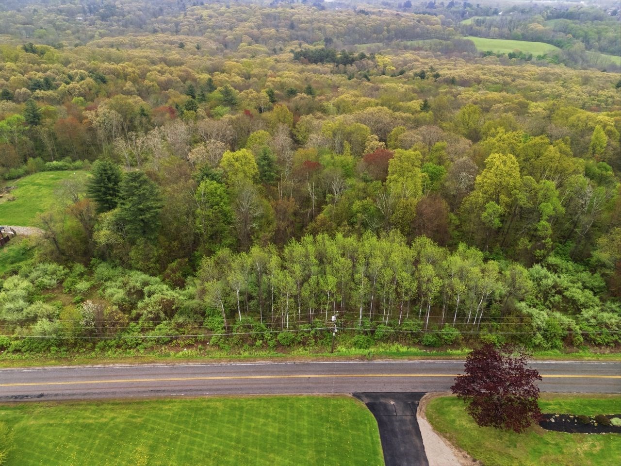 221 Lot 2 Dresser Hill Rd Property Photo 1