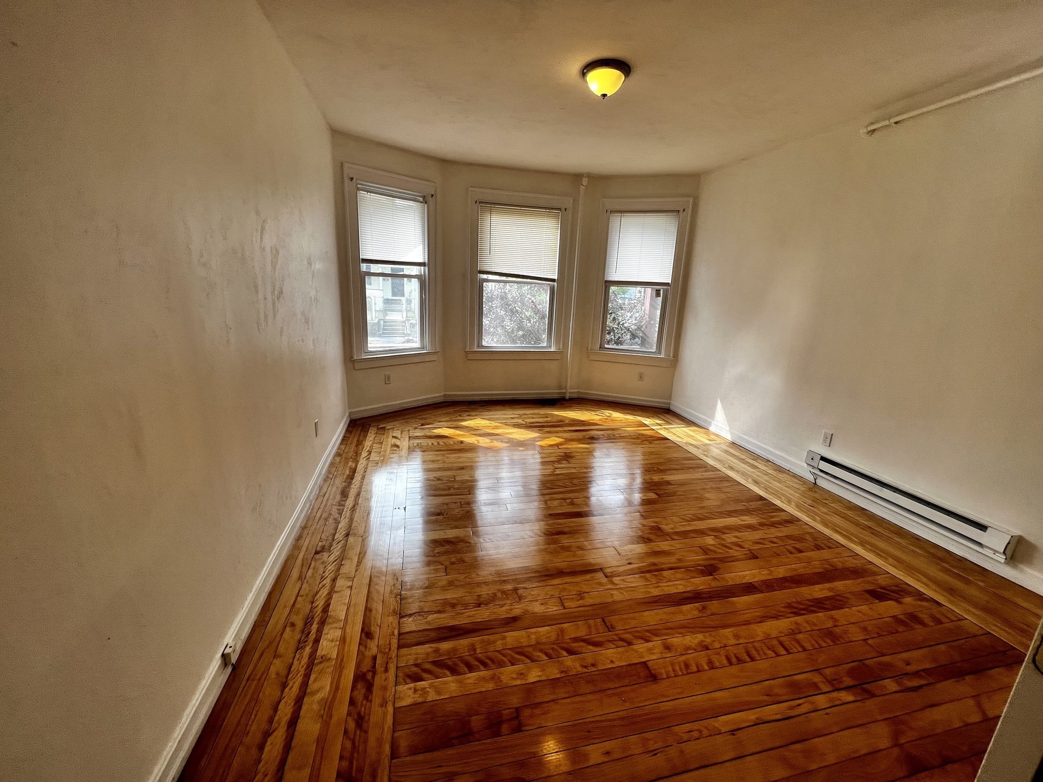 3-5 Woodbine St # 1 Property Photo 4