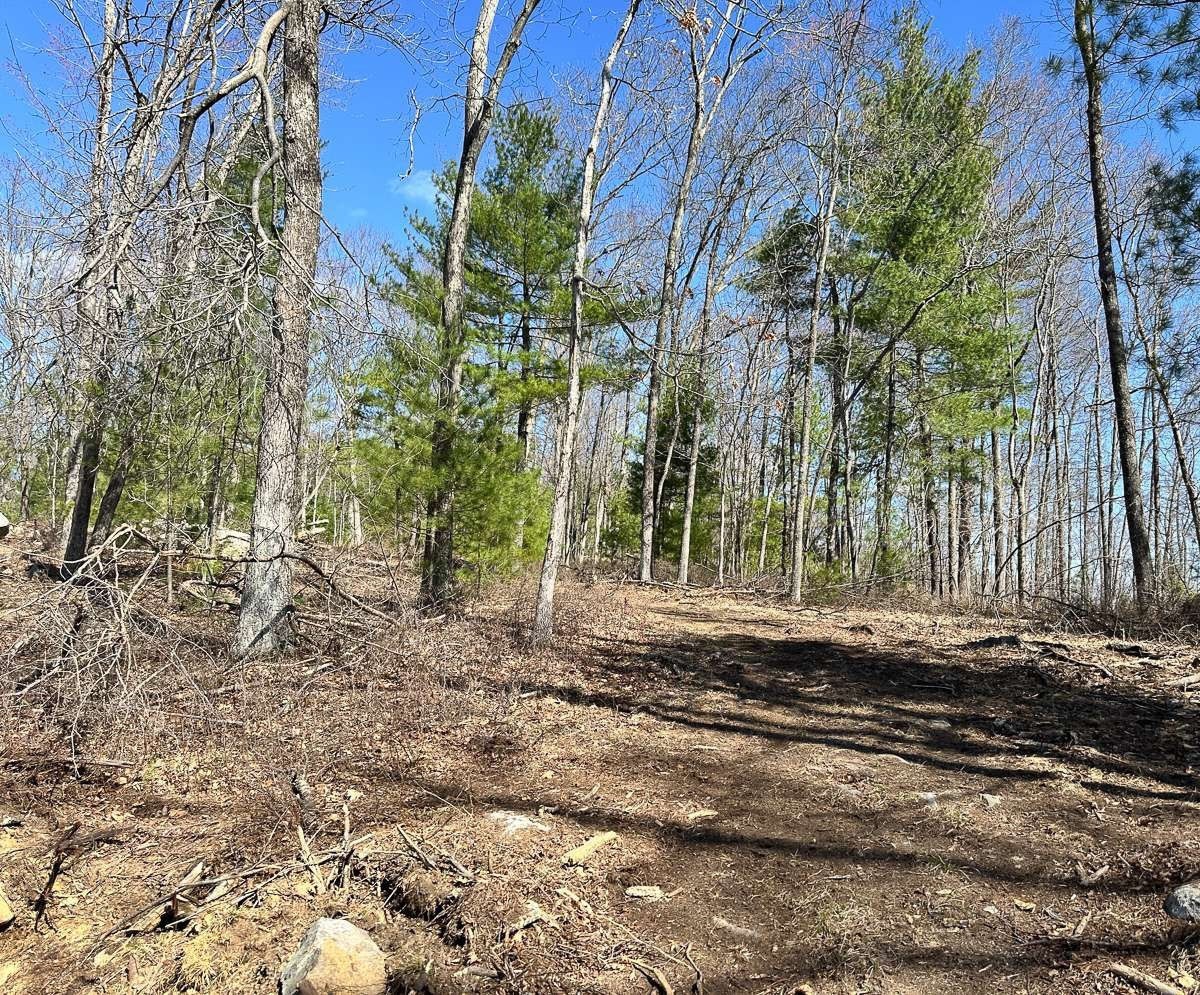 126 Burbank Rd Lot 1 Property Photo 4