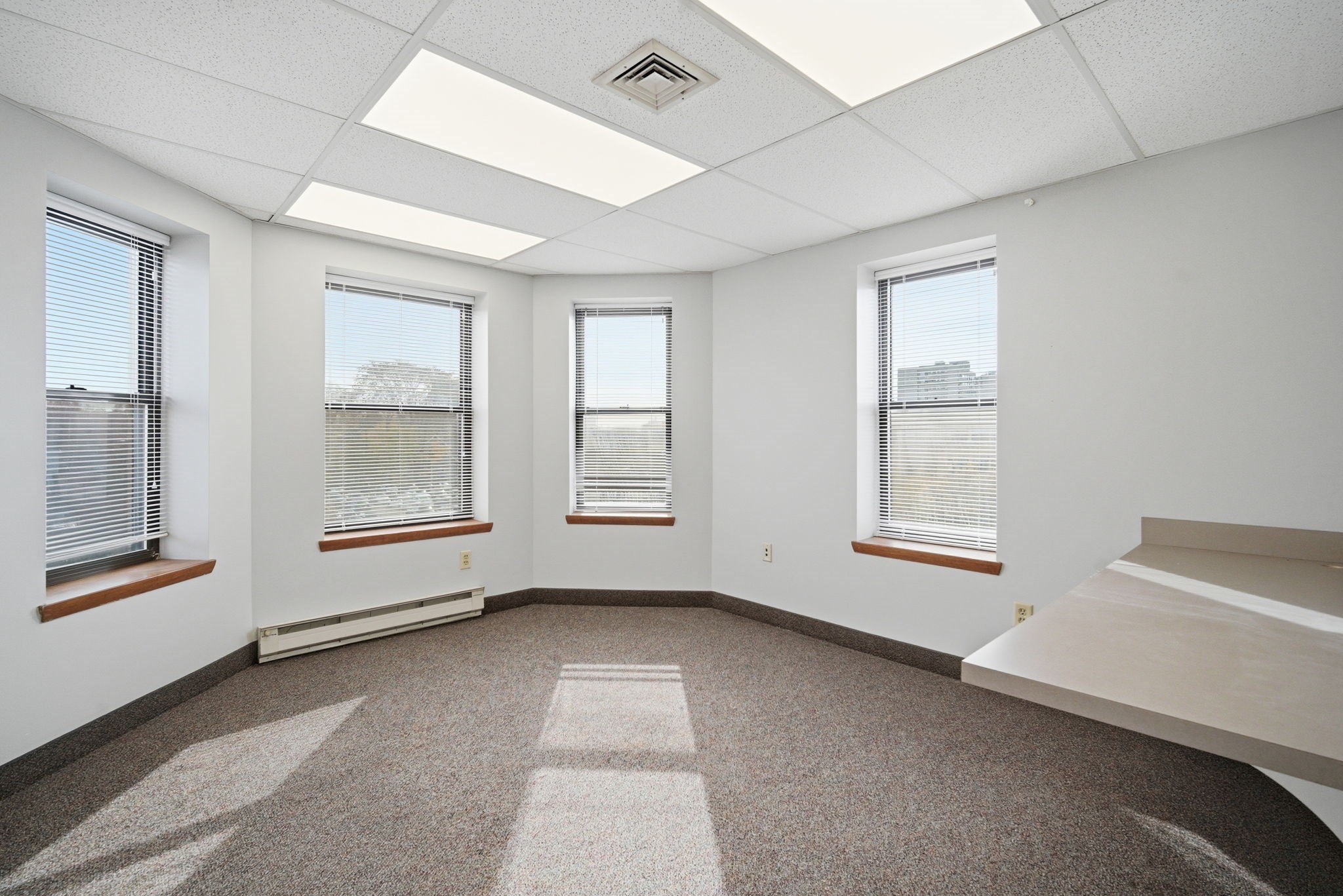 222 Carew St Property Photo 19