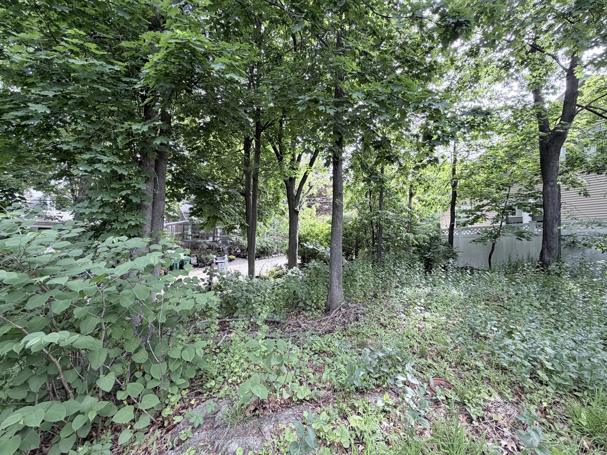 Lot 201 Rock Glen Property Photo 2