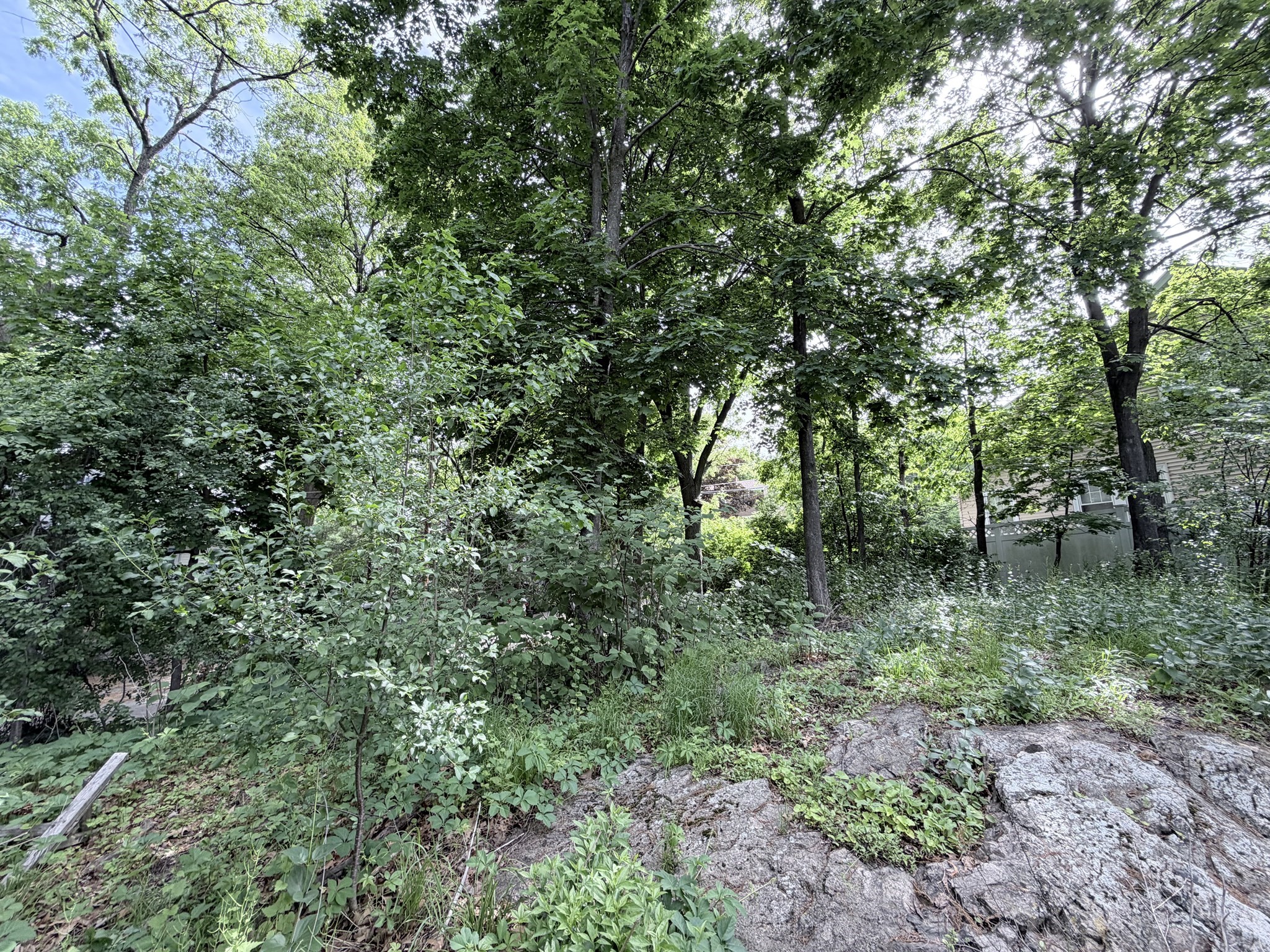 Lot 201 Rock Glen Property Photo 3