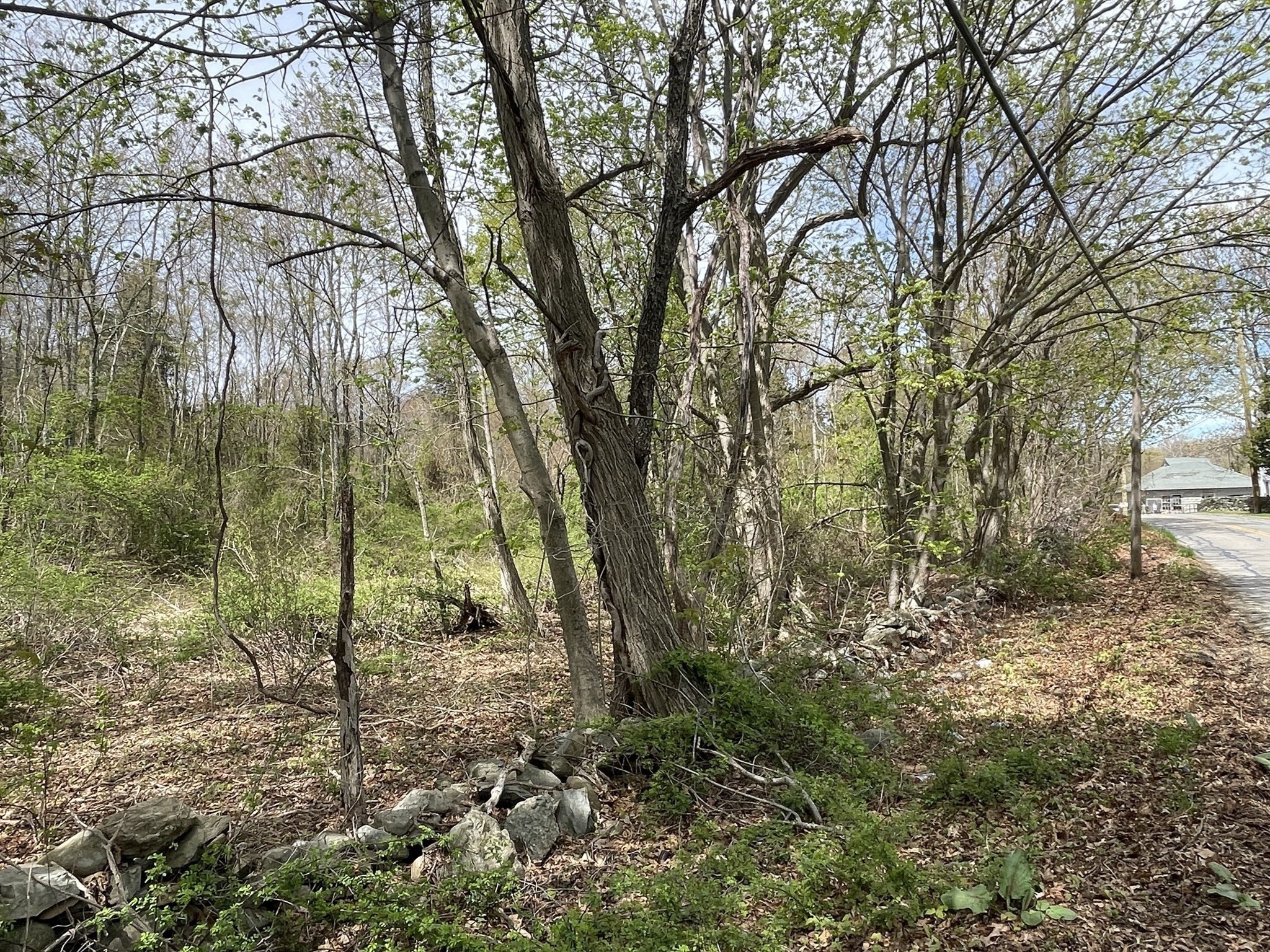 2729 Elm Street (lot 1) Property Photo 2