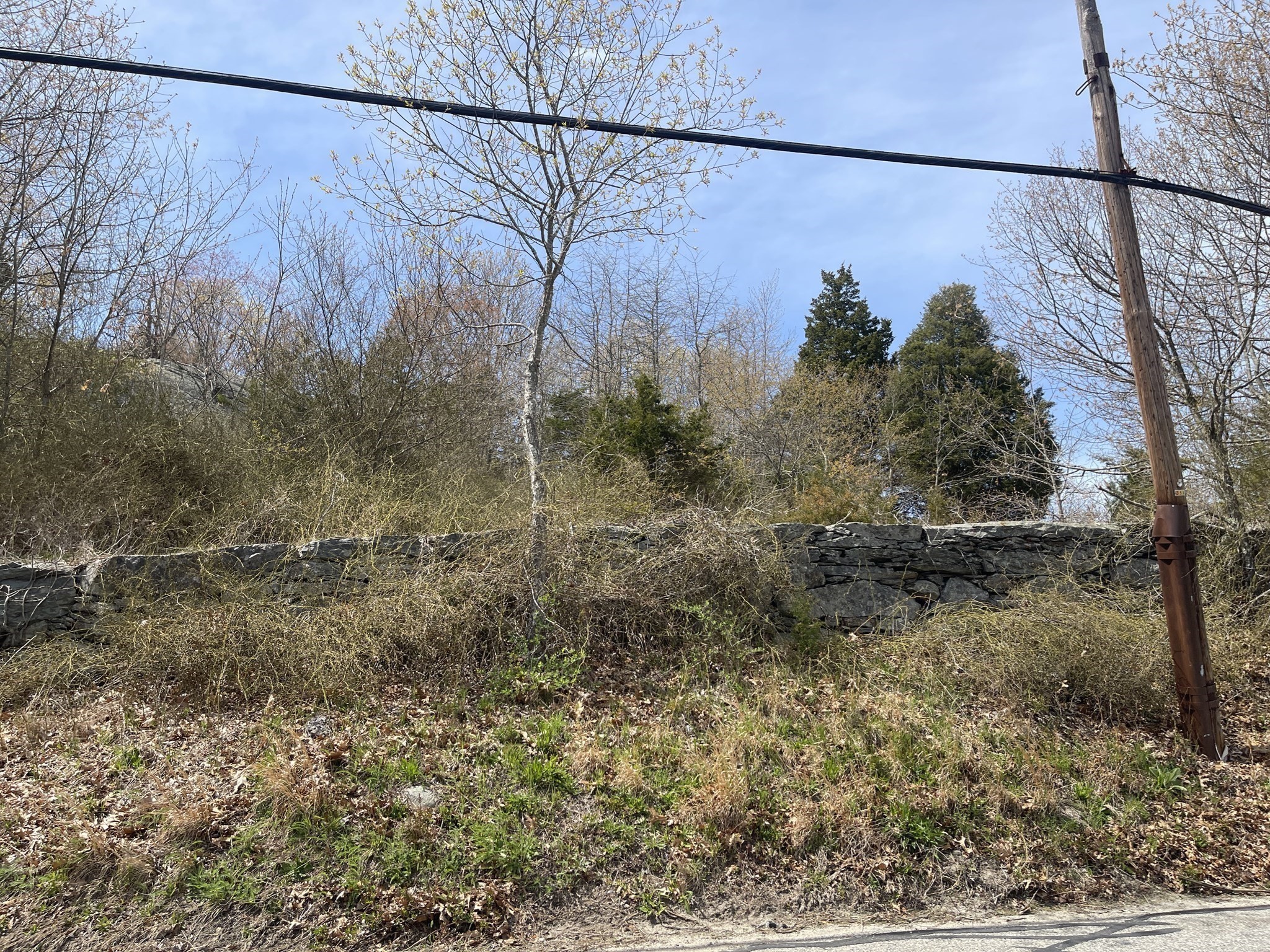 2729 Elm Street (lot 1) Property Photo 3