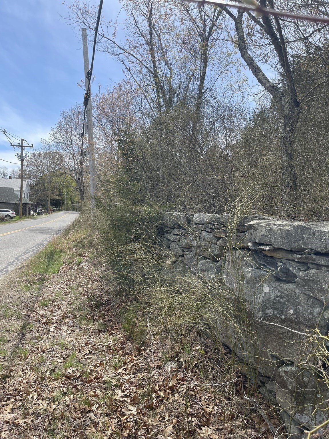 2729 Elm Street (lot 1) Property Photo 13
