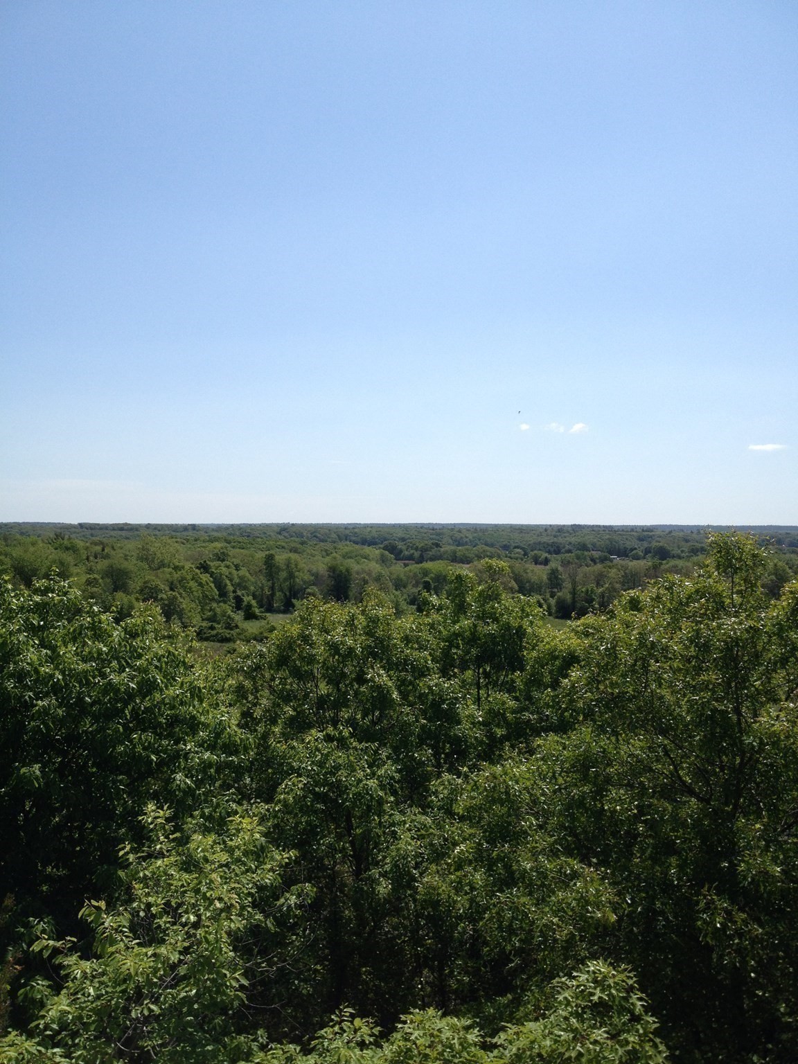 2729 Elm Street (lot 1) Property Photo 14